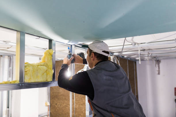 Best Insulation Removal  in USA